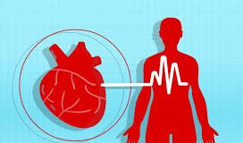 Cardio NRJ – comprimés – effets – sérum