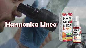 Harmonica Linea - pour mincir - composition - sérum - prix
