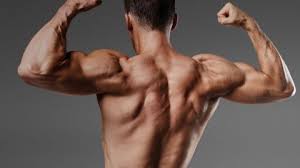 Nitro Strength - pour la masse musculaire - effets - sérum - muscle supplement