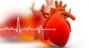 Cardio NRJ - pour l'hypertension - Amazon – prix – France