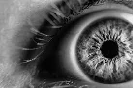 Oculax - meilleure vue - sérum – effets – prix